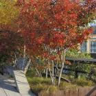 انجیلی (آهن ، آسوندار) 5